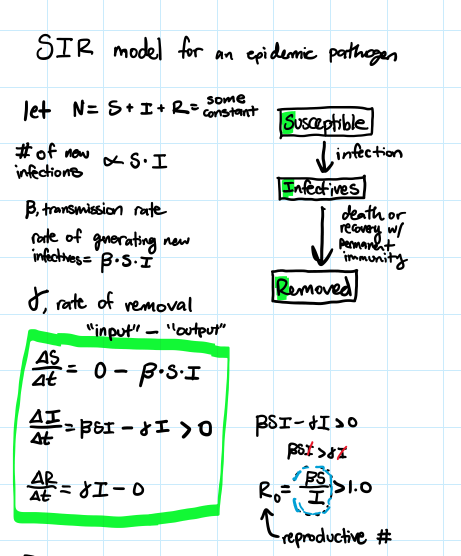 <p>Susceptible</p><p>Infectives</p><p>Removed</p><ul><li><p>1/y is the mean time that an infected individual has the disease and can infect other individuals within the host population</p></li><li><p>S is # of susceptible hosts present</p></li></ul>