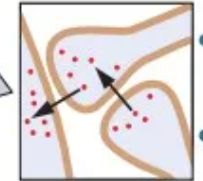<p>Axon terminal ends on another axon terminal</p>