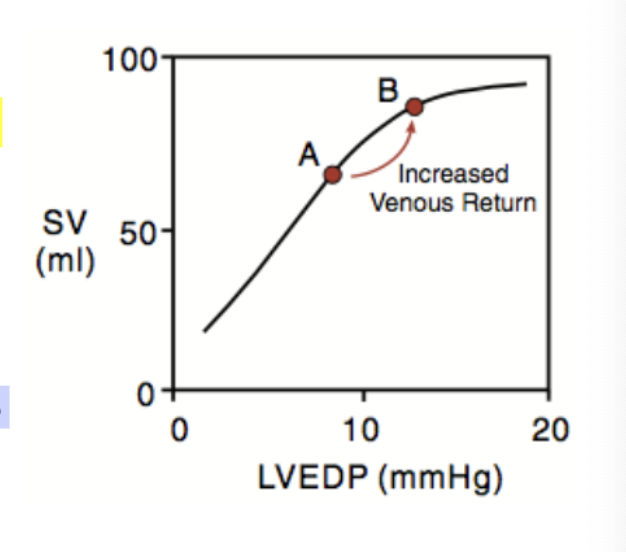 <p>how do you increase EDP/ED?</p>