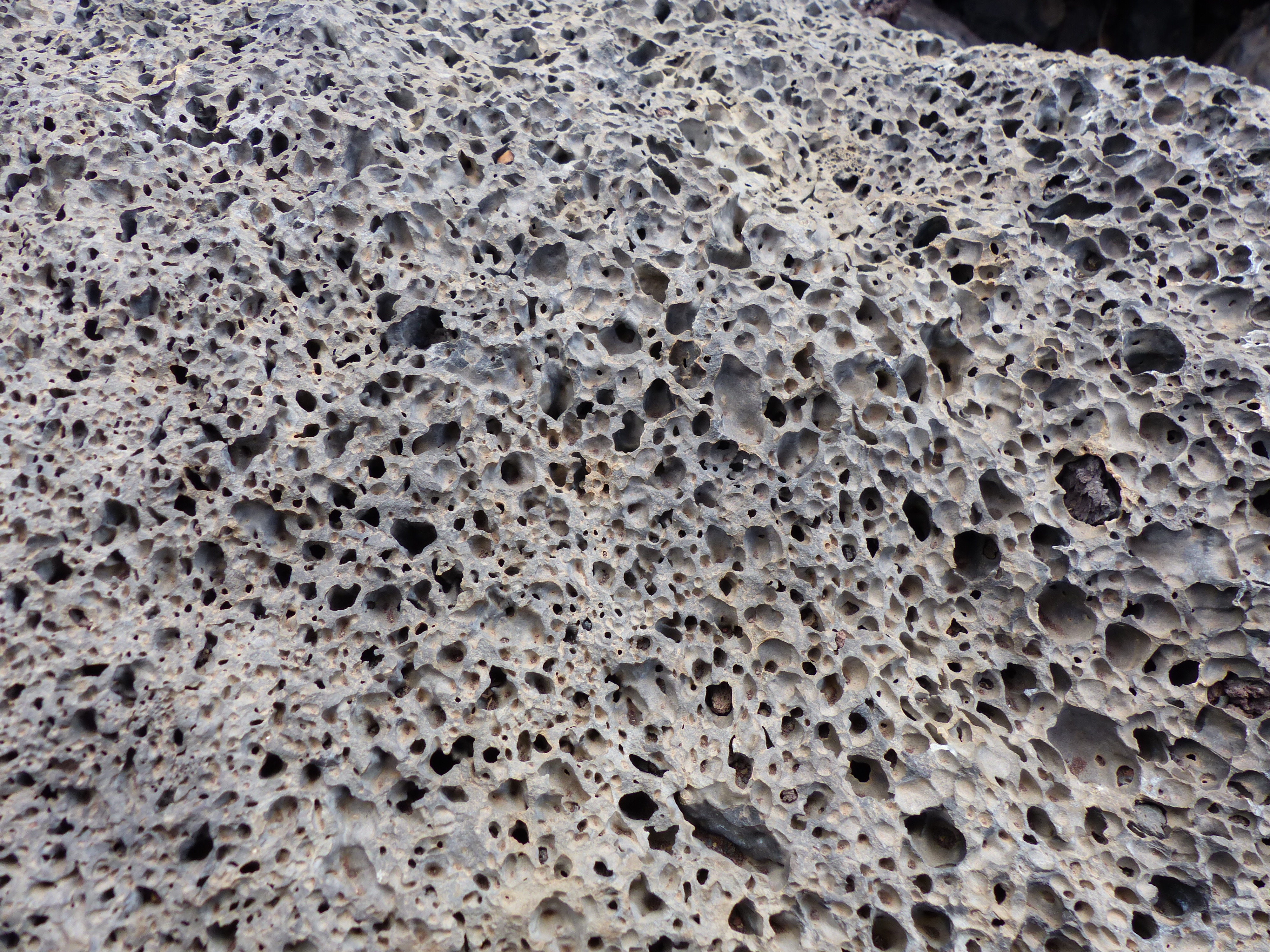<p>Texture of igneous rocks containing tiny holes called vesicles formed due to gas bubbles in the lava or magma</p>