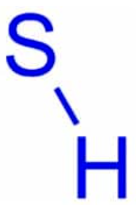 <ul><li><p>Chemical formula: SH</p></li><li><p>Holds things into place, helps with rigidity</p></li><li><p>Found in crosslinked molecules, like rubber and hair</p></li></ul><p></p>