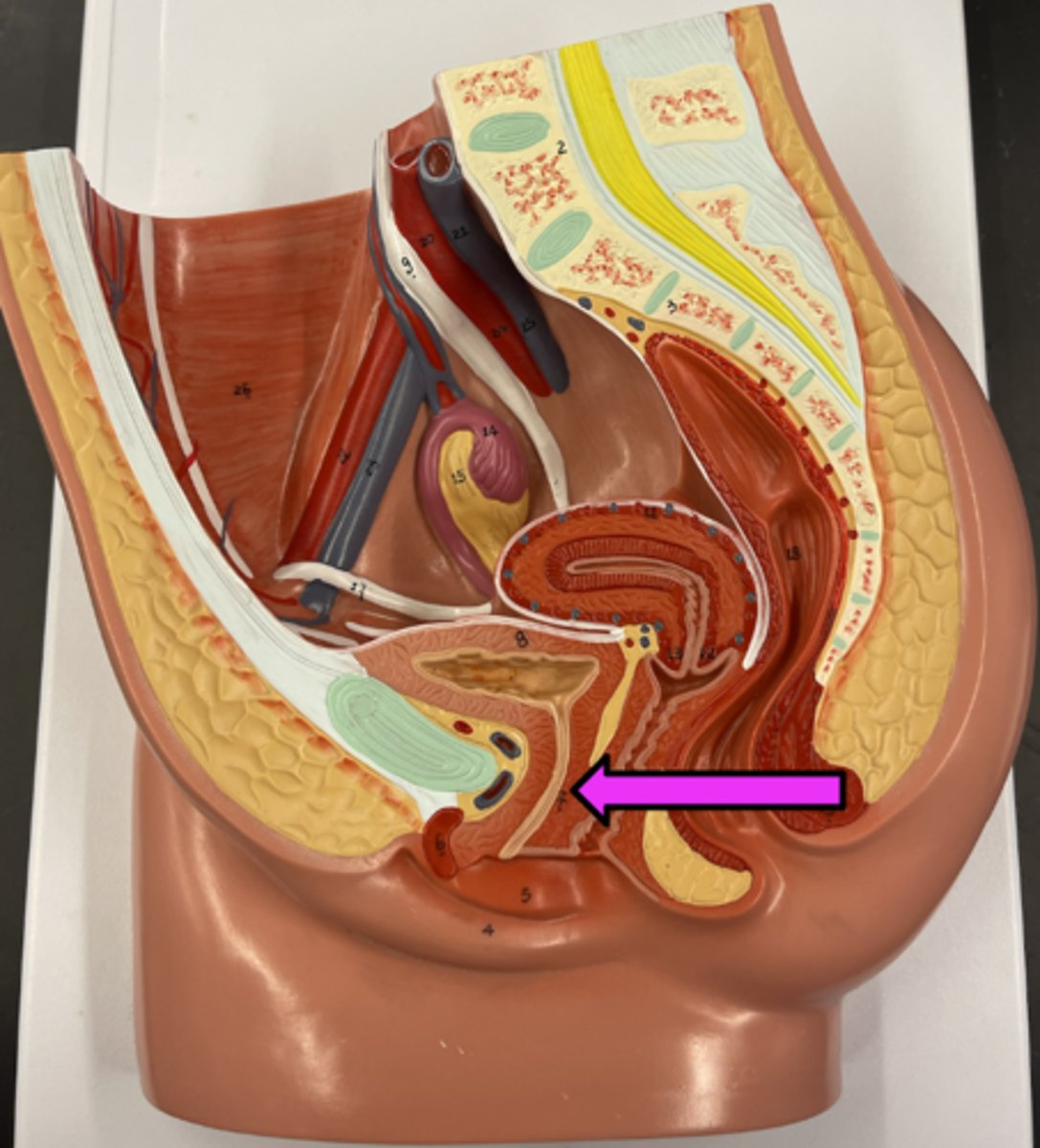 <p>Name this region</p>