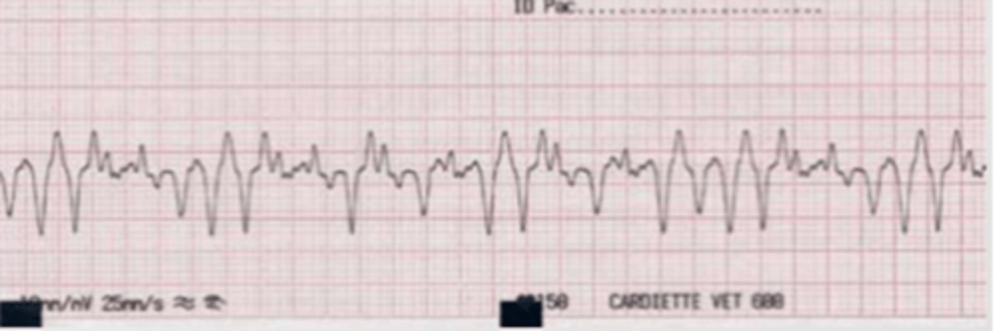 <p>what is the problem here?</p>