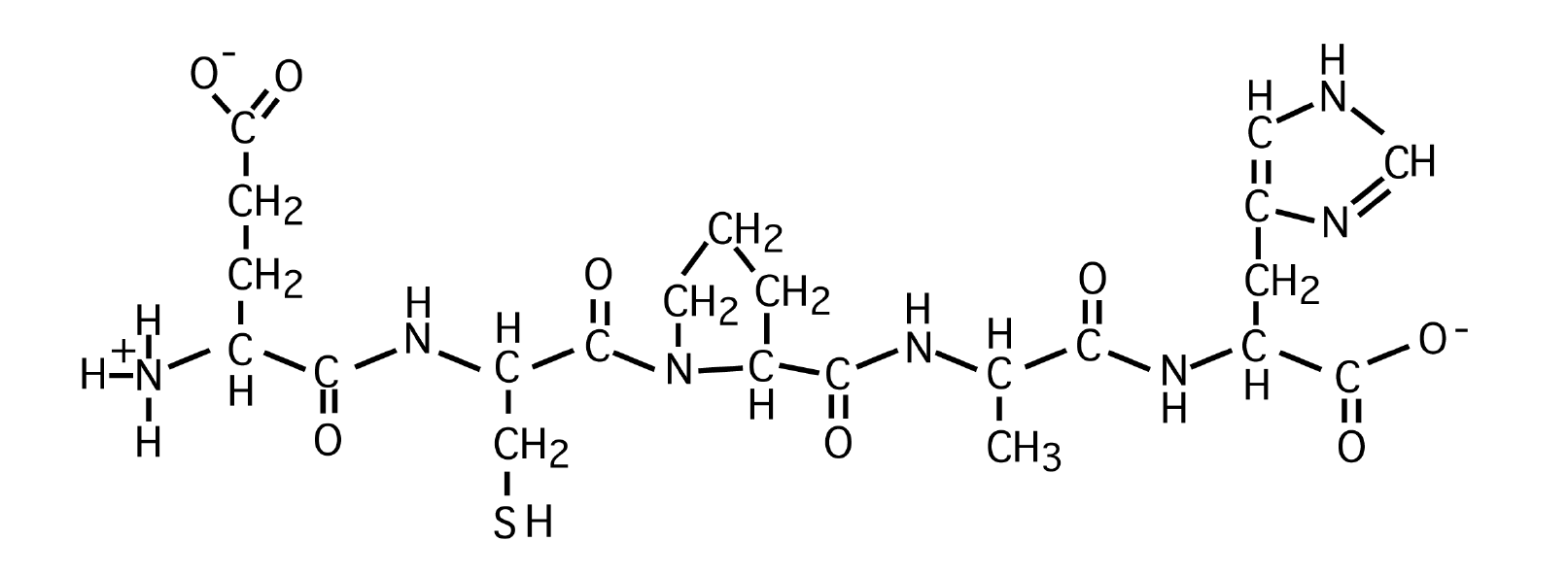 <p>What is the sequence of the following peptide?</p><p>A. Glutamate-Cysteine-Tyrosine-Glycine-Phenylalanine</p><p>B. Aspartate- Serine -Proline-Alanine-Histidine</p><p>C. Glutamate- Cysteine - Phenylalanine - Glycine-Histidine</p><p>D. Glutamate- Cysteine - Proline -Alanine-Histidine</p><p>E. Aspartate-Cysteine-Proline-Glycine-Phenylalanine</p>