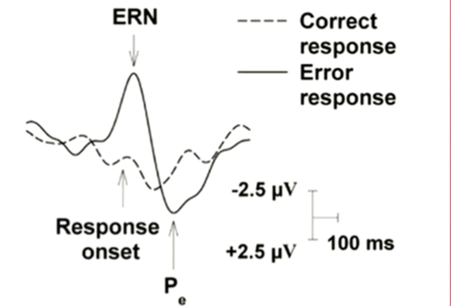 <p>An electrophysiological marker that occurs when participants make errors in cognitive tasks, but occurs whenever someone makes an action in some regard</p>