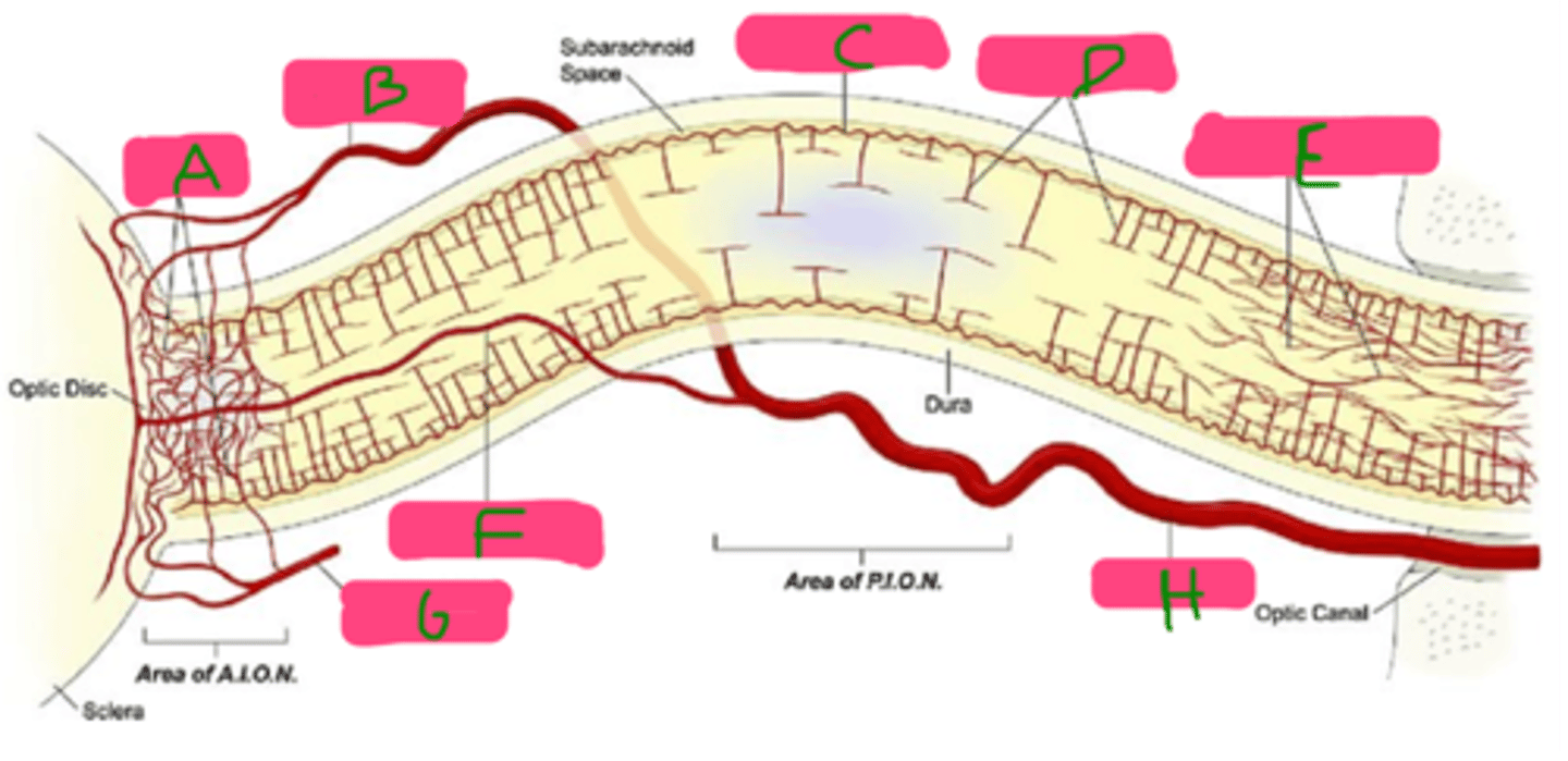 <p>Label A-H</p>
