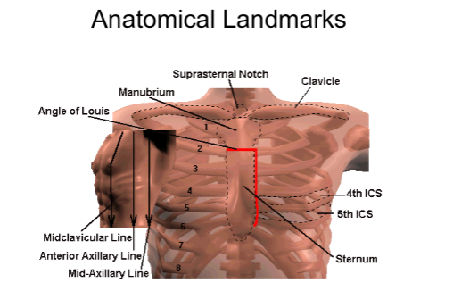 Midclavicular Line- Usually starts in the center of clavicle and passes through nipple line

also there’s : Anterior axillary line, Mid-axillary line, ntercostal spaces (ICS), Suprasternal notch, Angle of Louis