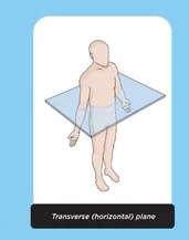 <p>cross section making top and bottom sections </p>