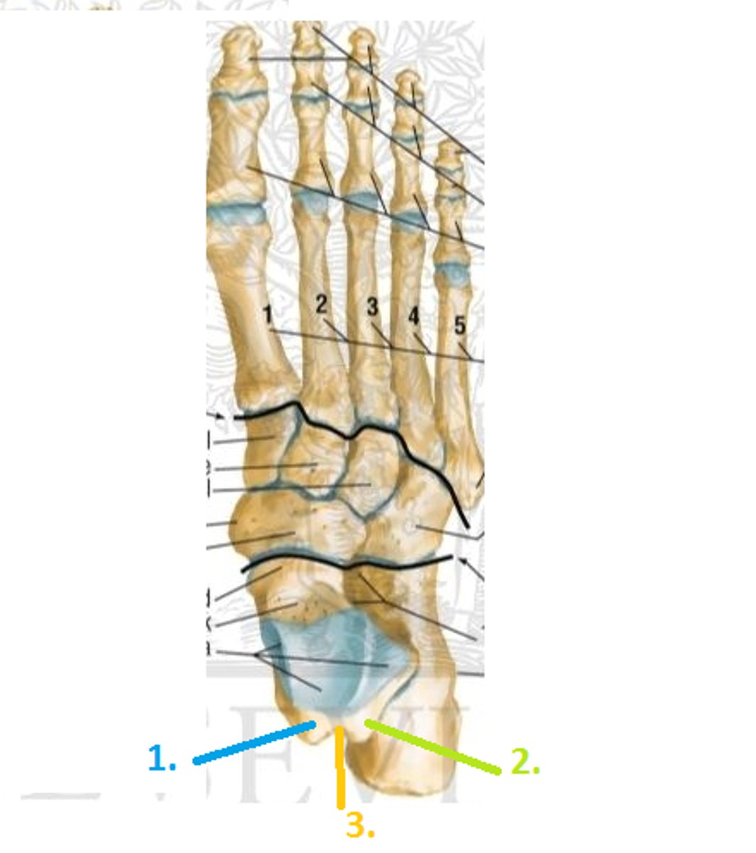 <p>2</p>