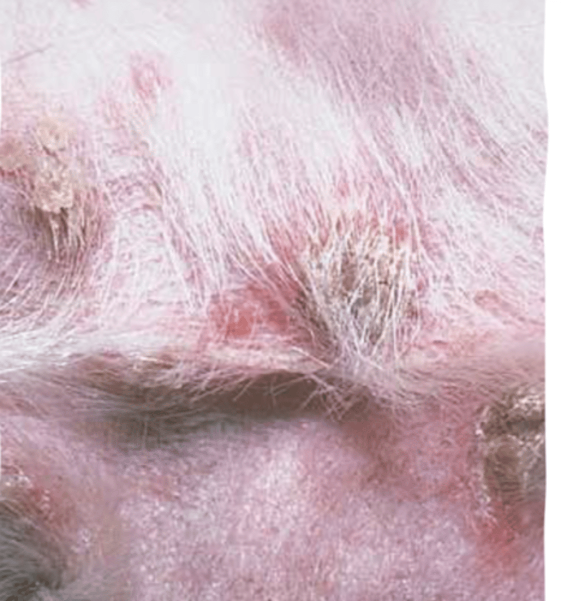 <p>what are these?</p>