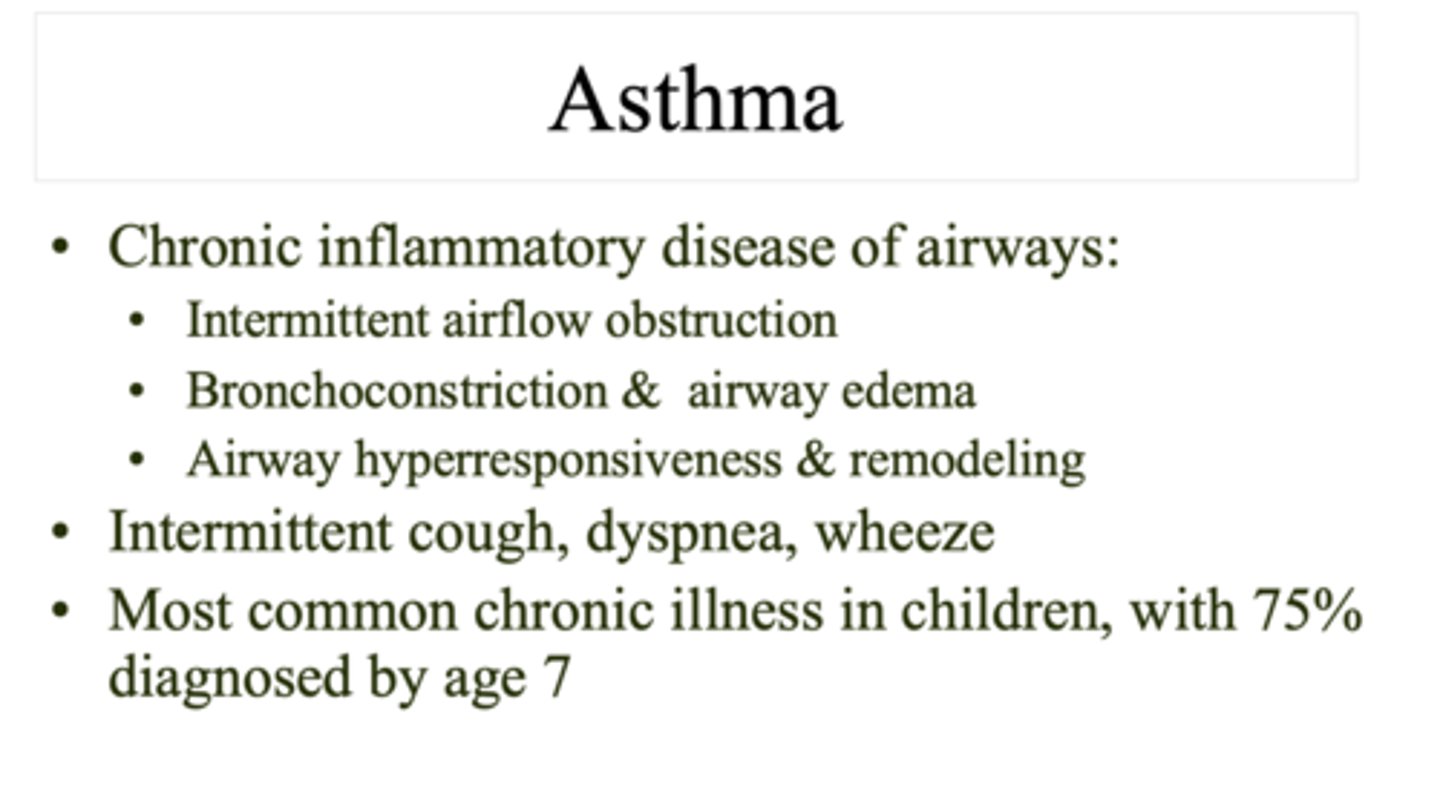 <p>Asthma</p>