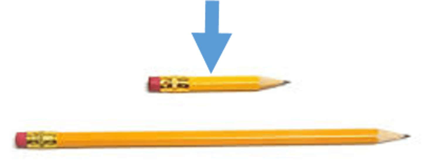 <p>缩短</p>