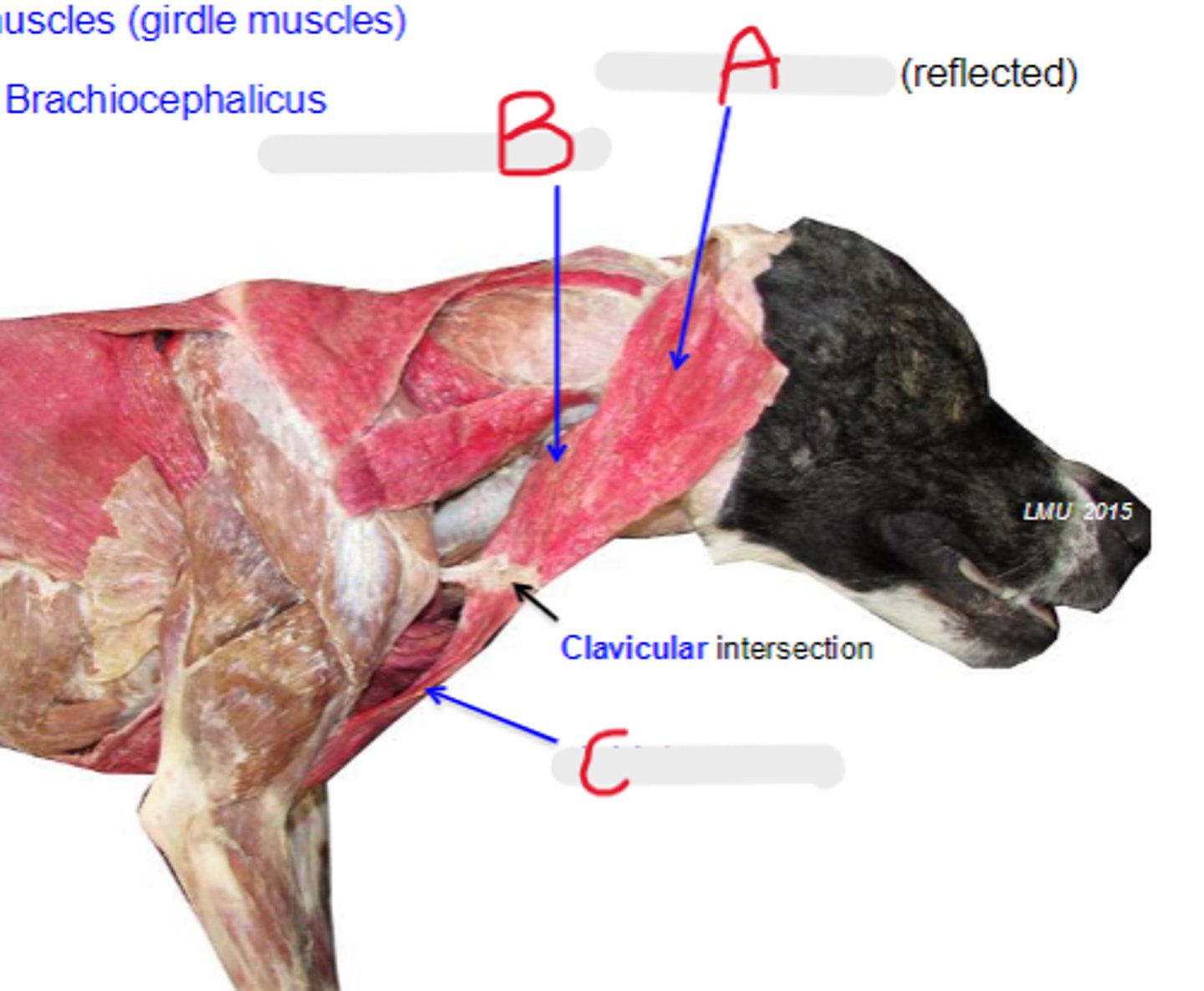 <p>What is B?</p>