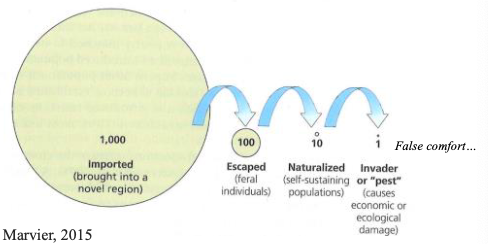 <p>What phenomenon does this image show?</p>
