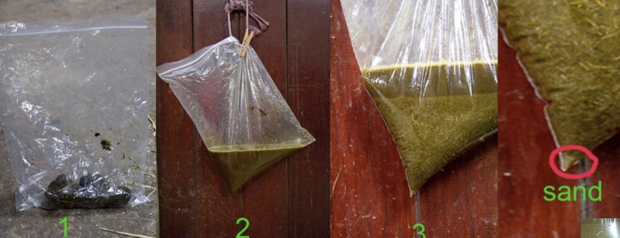<p>to see if passing sand in stool — does not necessarily mean sand is a cause of colic </p>