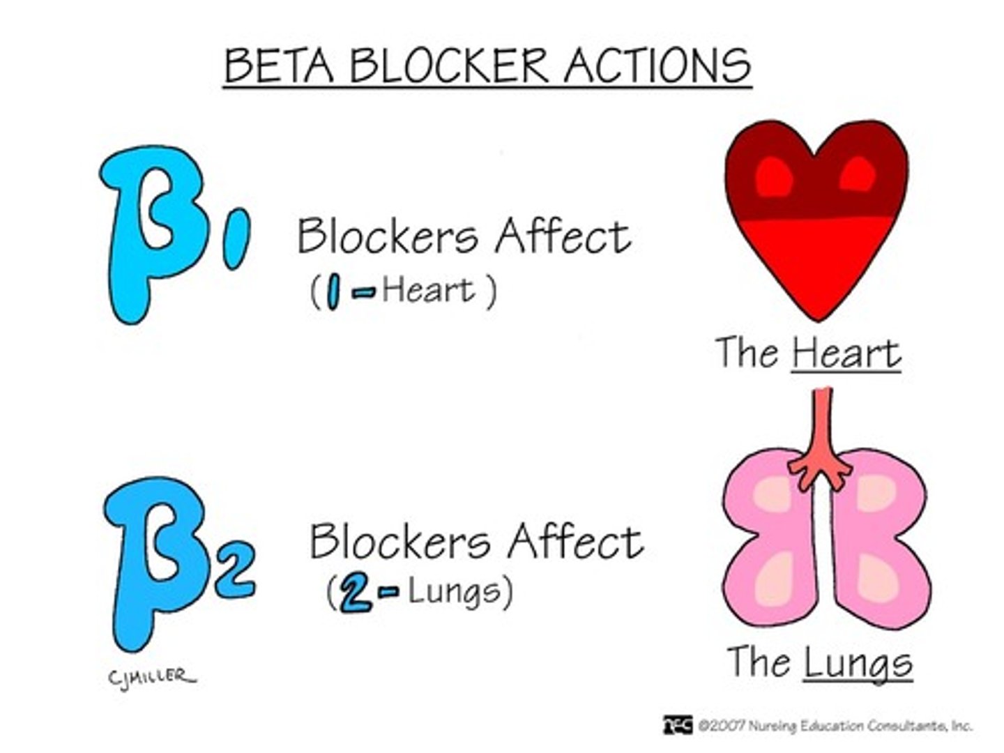 <p>-Block beta receptors (found in the heart, blood vessels, and airways)</p><p>-Reducing heart rate and blood pressure (vasodilation).</p><p>-Caution: Do not use in patients with Asthma could lead to bronchoconstriction (closing of airways);</p>