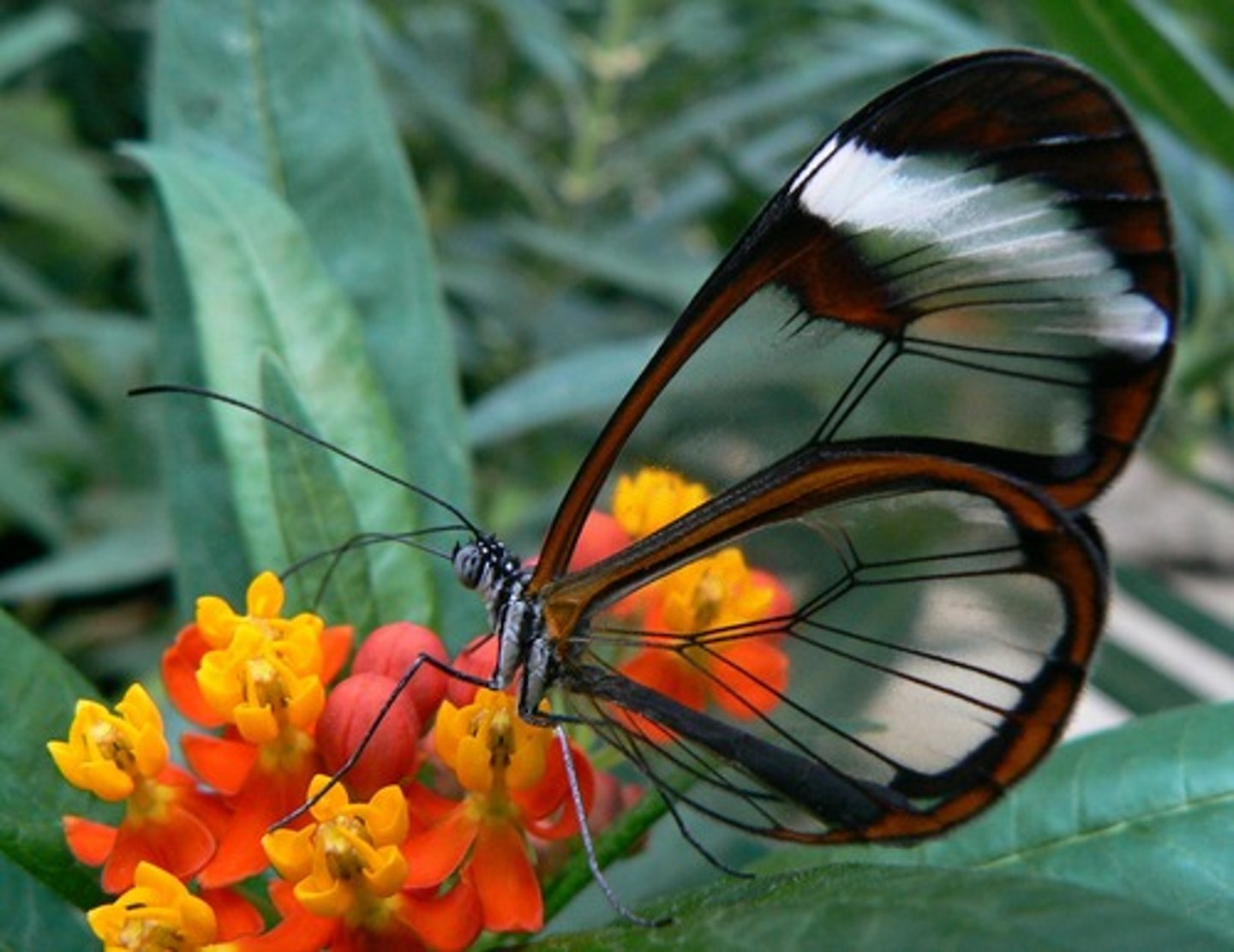 <p>very beautiful and delicate:</p><p>an ... piece of china</p><p>Look at this ... painting.</p>