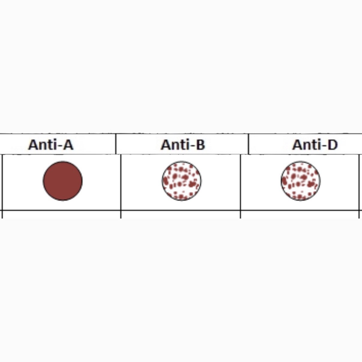 <p>What is this Blood Type? </p>