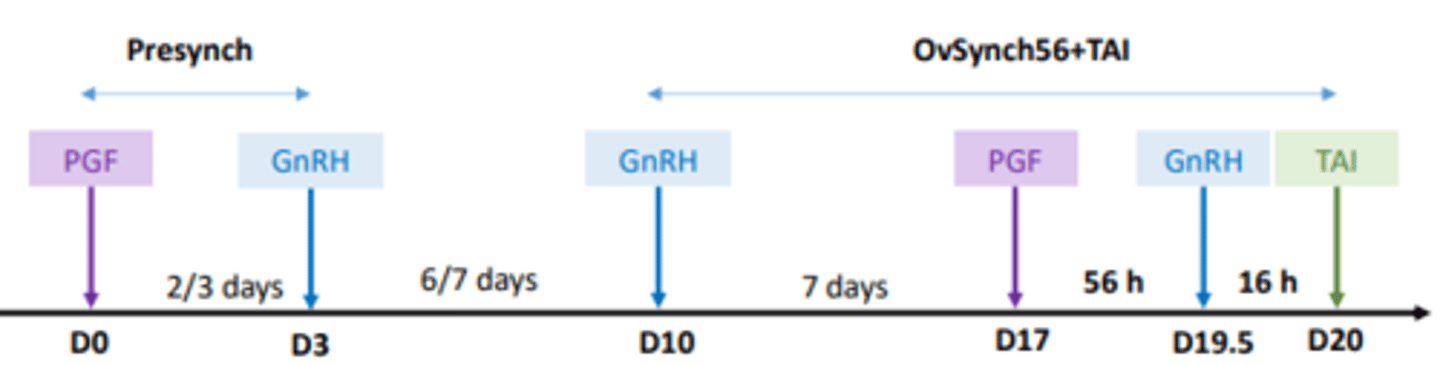 <p>- Presynchronization is done by administration of PGF and GnRH at 2/3 days interval for cycling and non-cycling cows</p><p>- OvSynch+TAI initiated 6/7 days later from the GnRH injection of Presynch</p>