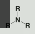 <p>Identify the functional group</p>
