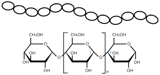 <p>starch</p>