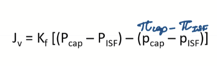 <p>A mathematical formula that describes the movement of fluid across capillary membranes, accounting for hydrostatic and oncotic pressures. </p><p>Jv= net filtration out of vessel (+ meaning going out to interstitium; - meaning going into BV)</p><p>Kf= vascular permeability coefficient</p><p>Pc= hydrostatic pressure in capillary</p><p>Pisf= hydrostatic pressure in interstitium</p><p>πcap= oncotic pressure in capillary</p><p>πisf= oncotic pressure in ISF </p>