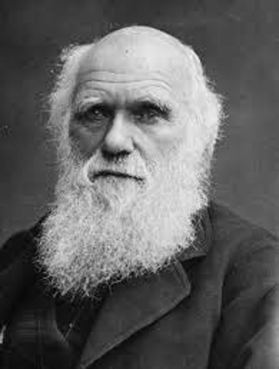<p>True, we now know that Darwin was correct because we now have more fossil records than before</p>