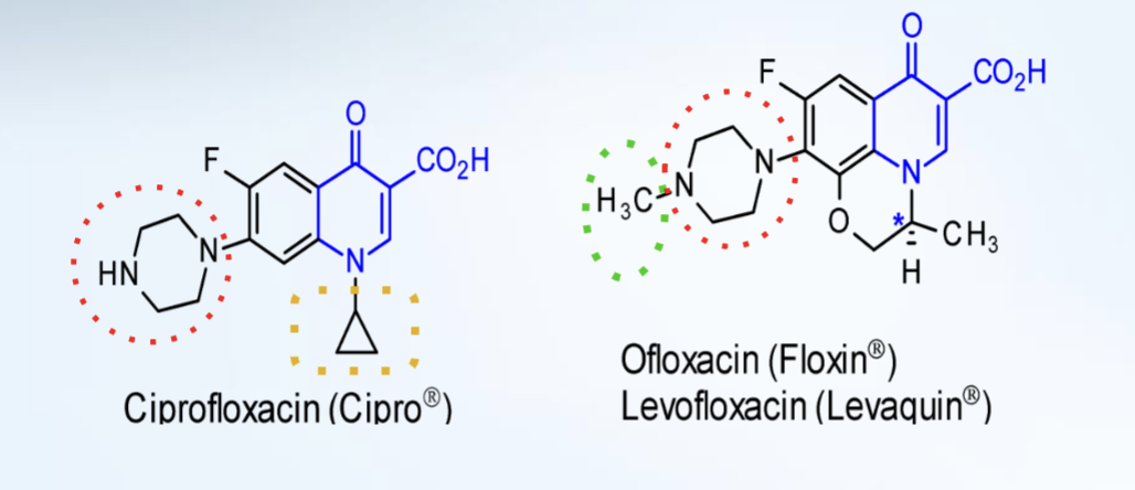 Describe the fluoroquinolone SAR 