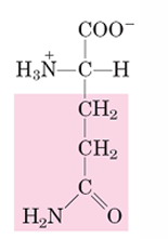 <p>Q</p>