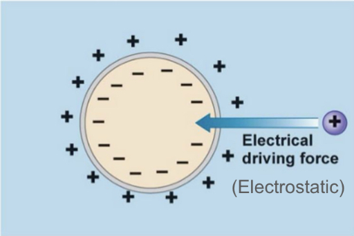 <p>Electrostatic potential </p>
