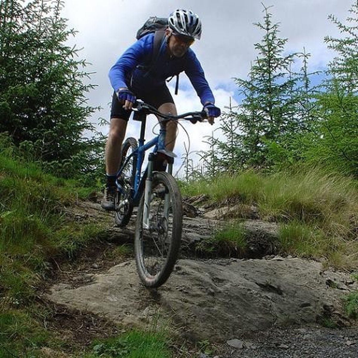 <p>to go mountain biking</p>