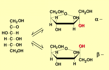 <p>Cetohexosa, es levógira= se le llama <strong>LEVULOSA.</strong></p><p>En fruta, fructosa+glucosa=sacarosa.</p><p>En hígado = glucosa</p>
