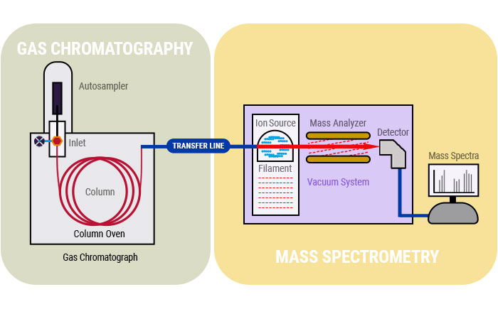 <p>Gas Chromatography/Mass Spectrometry separates mixtures to see their individual components and using mass spectrum and spectrometry we can identify them based on their mass-to-charge ratio.</p><p>Both quantitative and qualitative information, confirmatory </p>