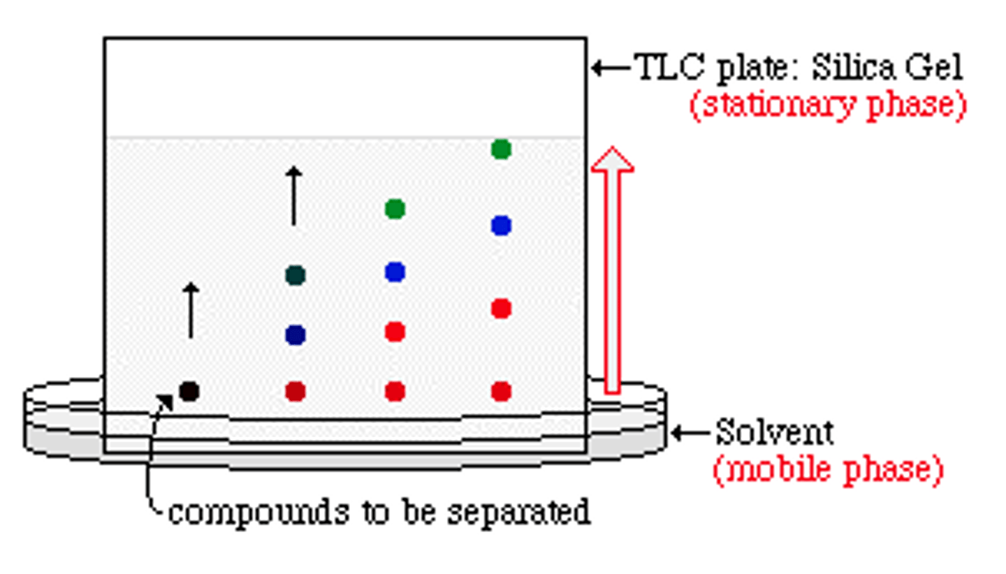 <p>Mobile phase is still solvent, but stationary phase is a thin layer of absorbent material (eg silica gel) which is spread onto a glass sheet</p>