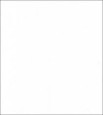 <p>white</p>