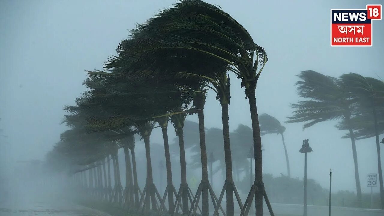 <p>Hurricane </p>