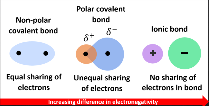 <p>ionic bonds </p>