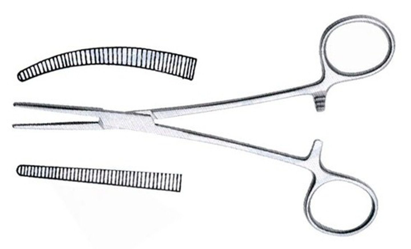 <p>- can be curved or straight</p><p>- used to clamp blood vessels or tissues</p>