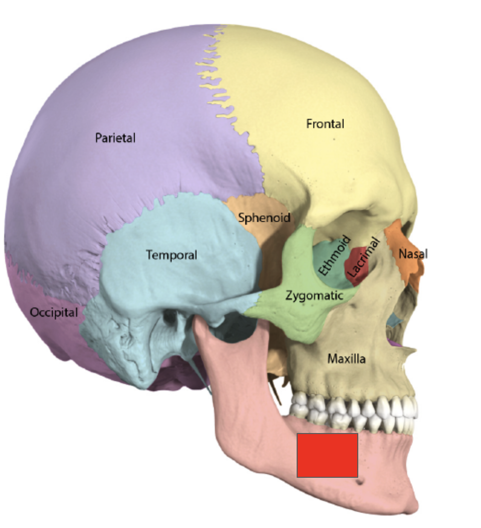 <p>Name the covered</p>