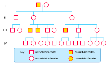 <p>A female must be homozygous to exhibit the trait, males only need one copy of the allele to have the condition. If a female has the condition, so will her sons and father. Heterozygous females are carriers. Can skip a generation, more common in males.</p>