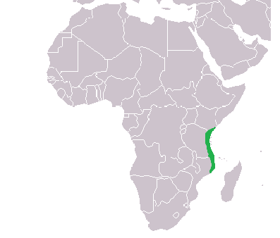 <p></p>
