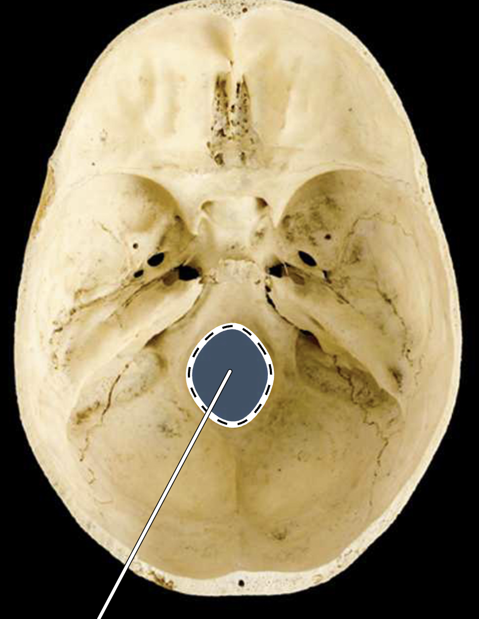 <p>?</p>