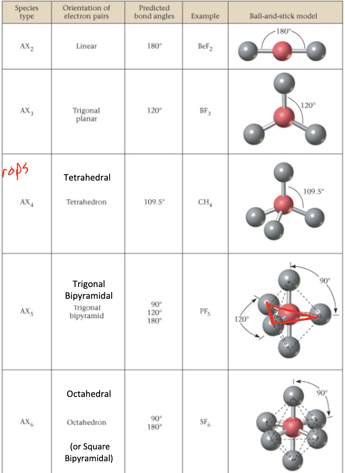 <ol><li><p>linear</p></li><li><p>trigonal planar</p></li><li><p>tetrahedral</p></li><li><p>trigonal bipyrimidal </p></li><li><p>octahedral</p></li></ol><p></p>