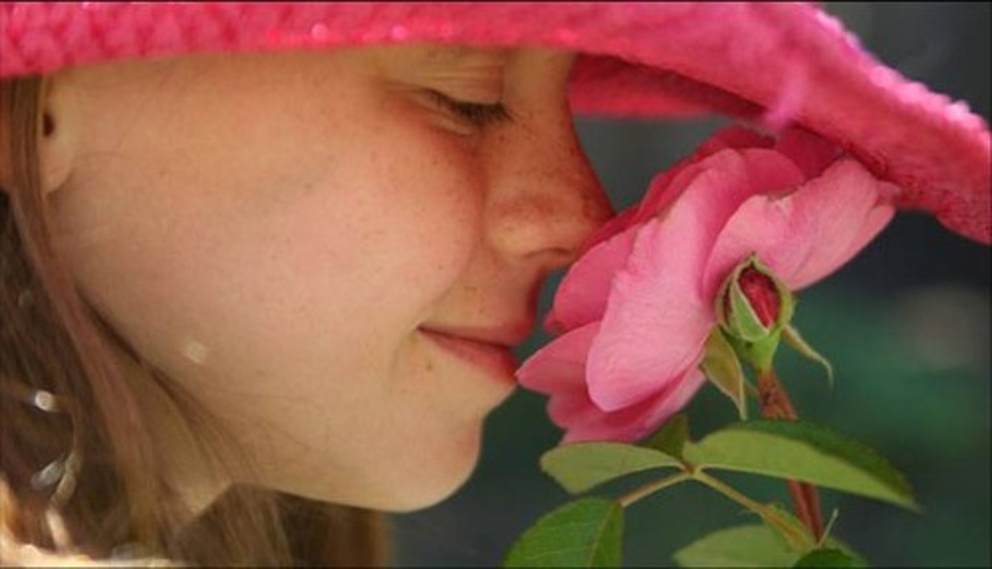 <p>(xiāng) fragrant</p>