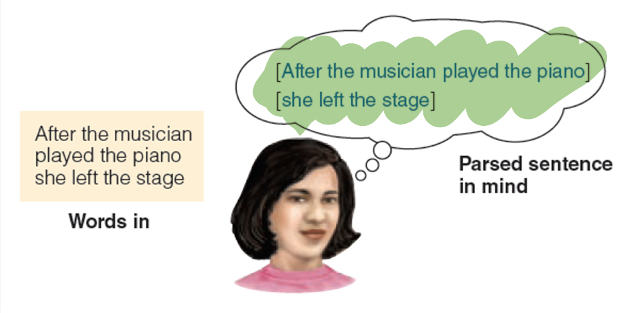 <p>Mentally grouping the words into phrases to create meaning.</p>