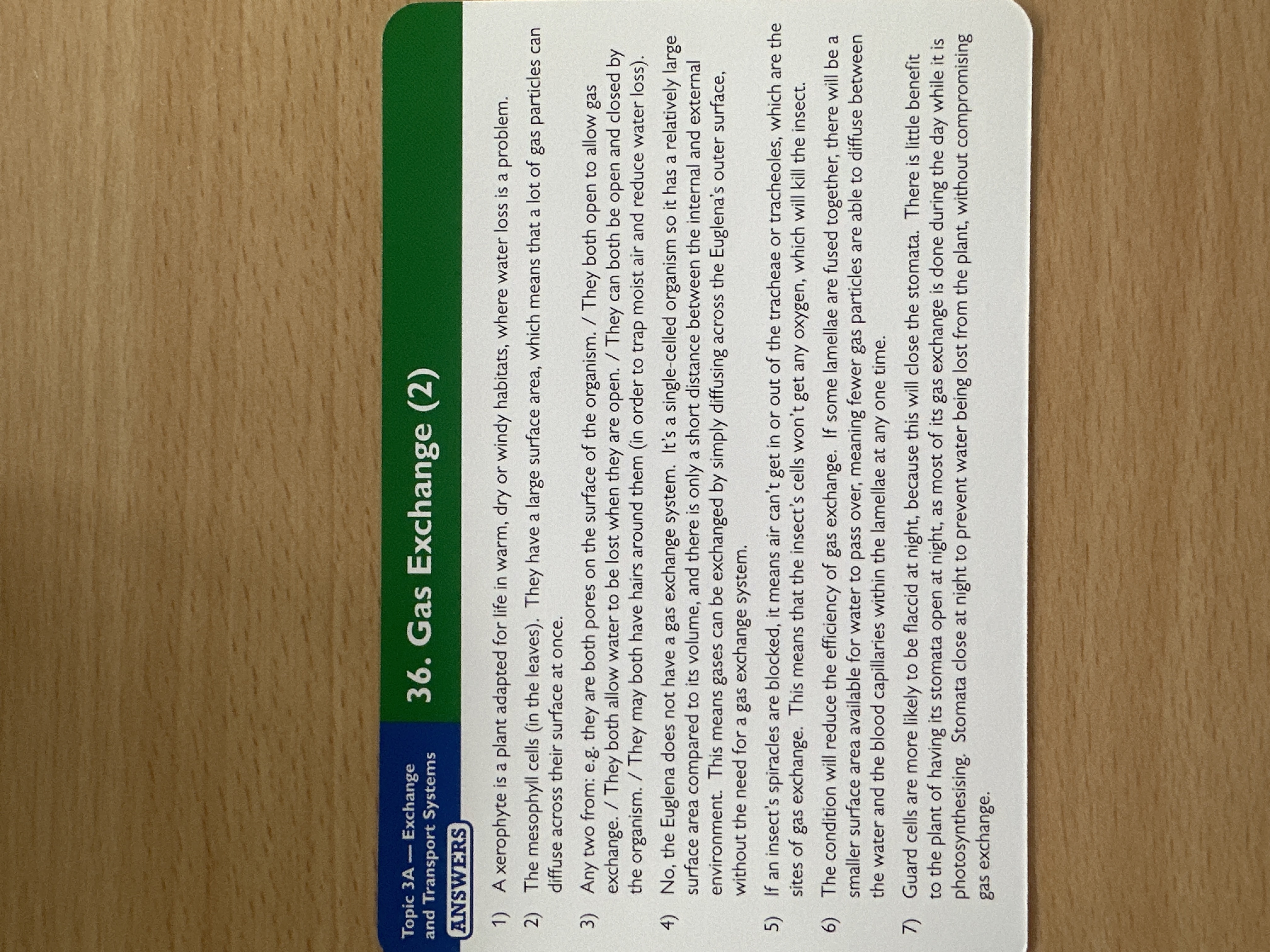 knowt flashcard image