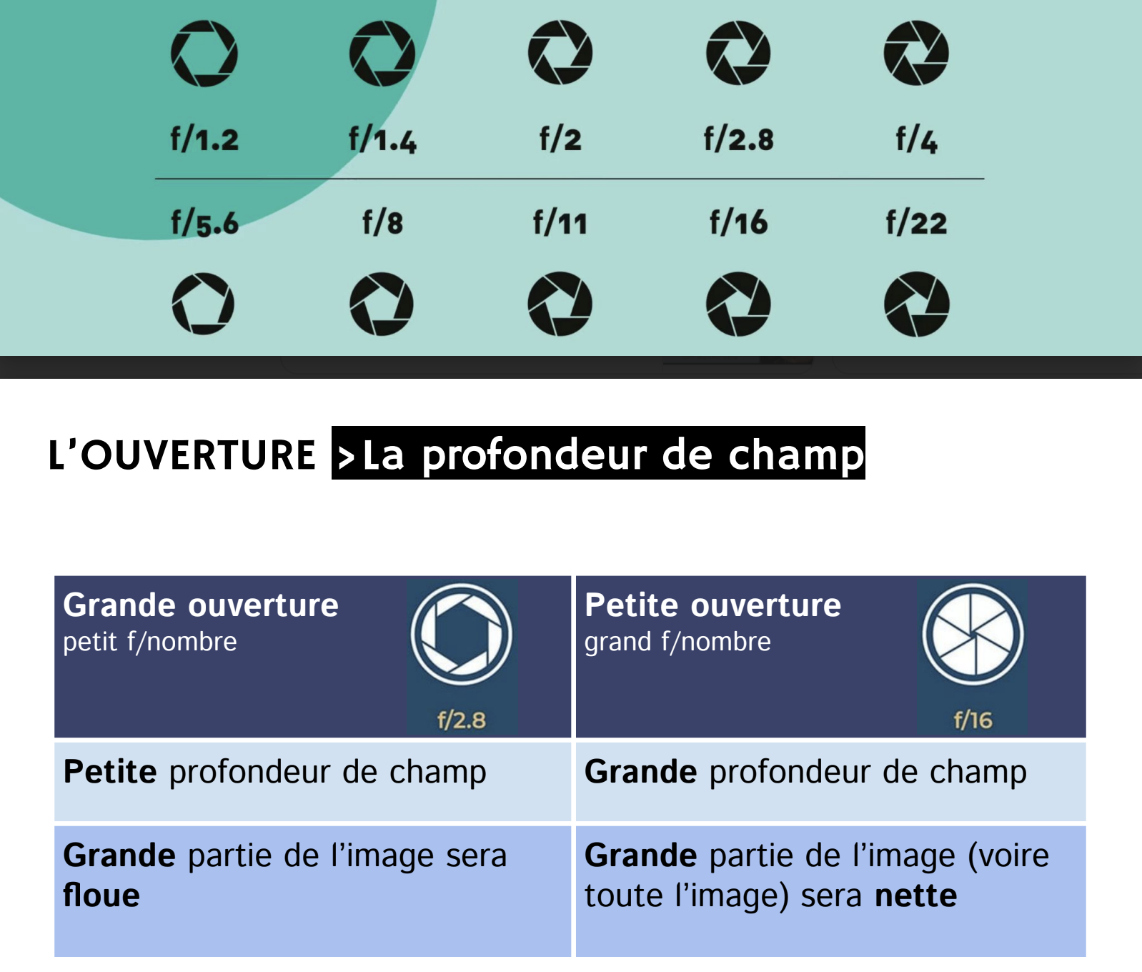<ul><li><p>est notée f/nombre, + f/nombre est petit + l’ouverture est grande + la quantité de lumière qui rentre est importante</p></li><li><p>petite profondeur de champs = grande partie de l’image est floue</p></li><li><p>grande profondeur de champs = grande partie de/toute l’image est nette</p></li></ul><p></p>