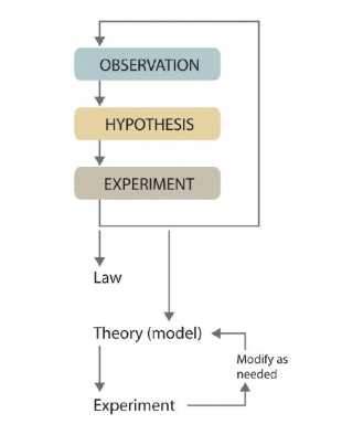 <ol><li><p>Make observations</p></li><li><p>Formulate a hypothesis</p></li><li><p>Test the hypothesis through experimentation</p></li><li><p>Accept or modify the hypothesis</p></li><li><p>Develop into a law and/or a theory</p></li></ol><p></p>