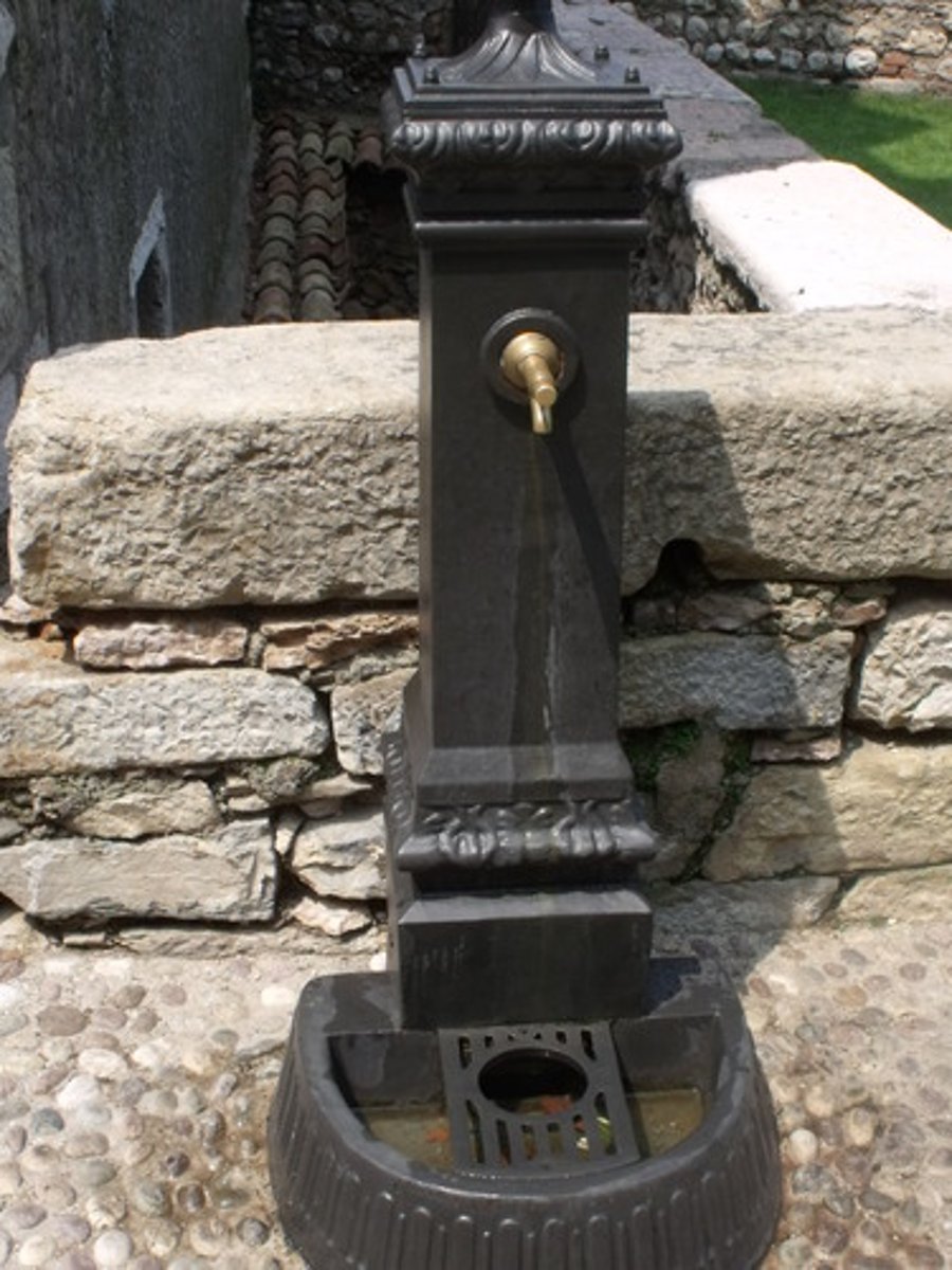 <p>cities also faced problems supplying safe drinking water as its poor quality caused disease.</p><p>Cities like New York and Cleveland built public waterworks but many people were still without water and had to get their water from THESE on the streets.</p>