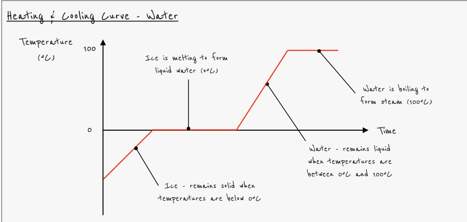 <p>what curve is this</p>